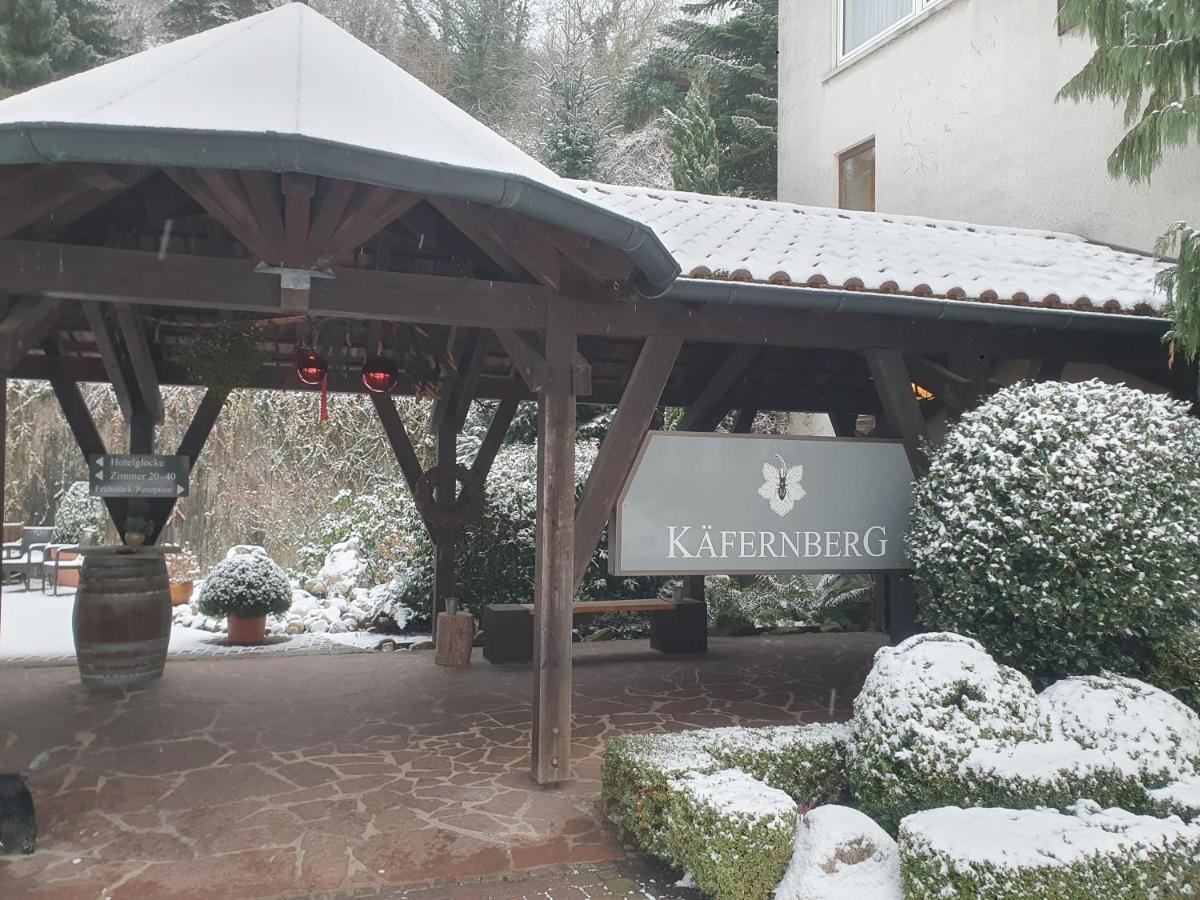 Kaefernberg - Weinhotel Alzenau Extérieur photo